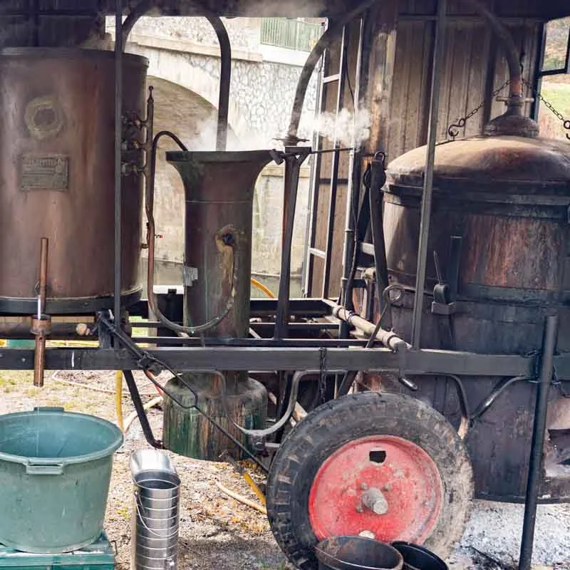 Ateliers - Atelier - Distillation de fruits - découverte du métier de Bouilleur Ambulant - 3h Atelier - vendredi 13 février 2026 à 9h30