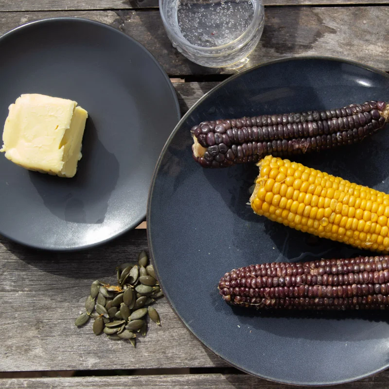 Maïs - Golden Bantam