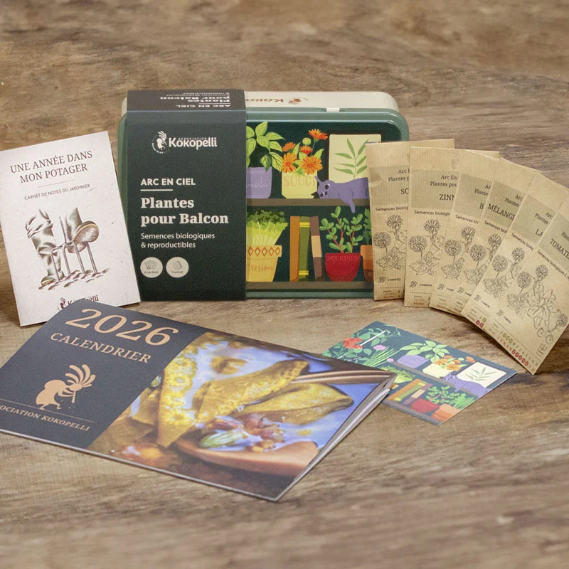 Mélanges Arcs-en-Ciel - Arc en ciel - Plantes pour les balcons