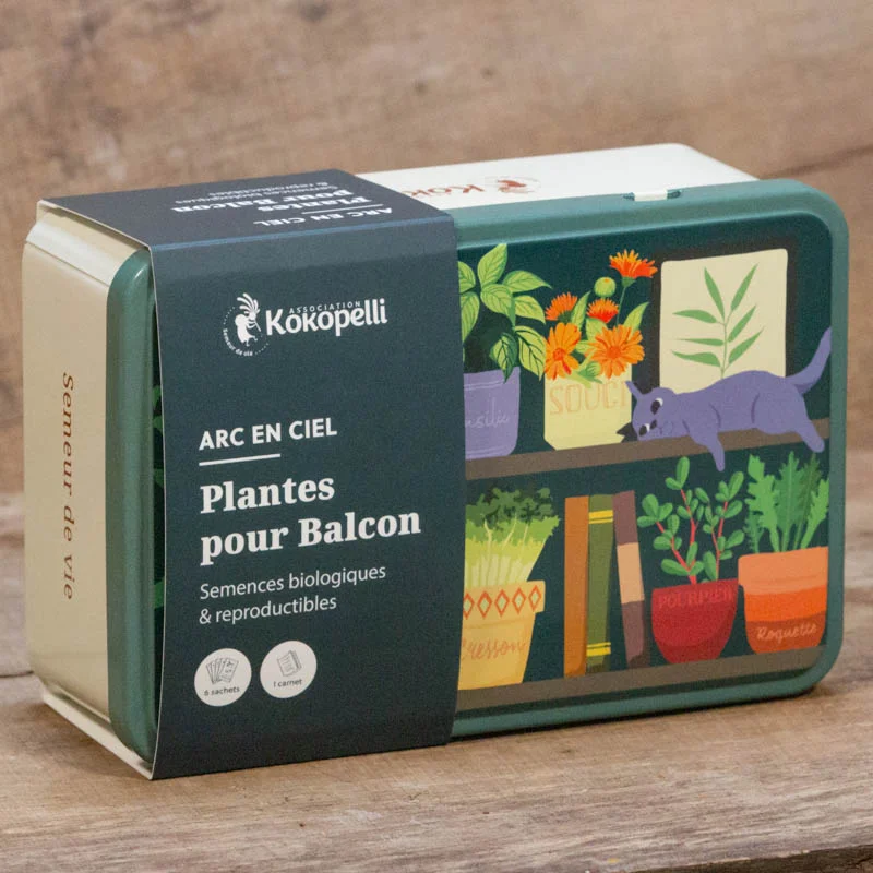 Mélanges Arcs-en-Ciel - Arc en ciel - Plantes pour les balcons