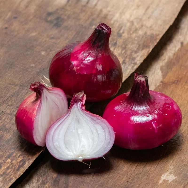Oignons - Rouge de Genève