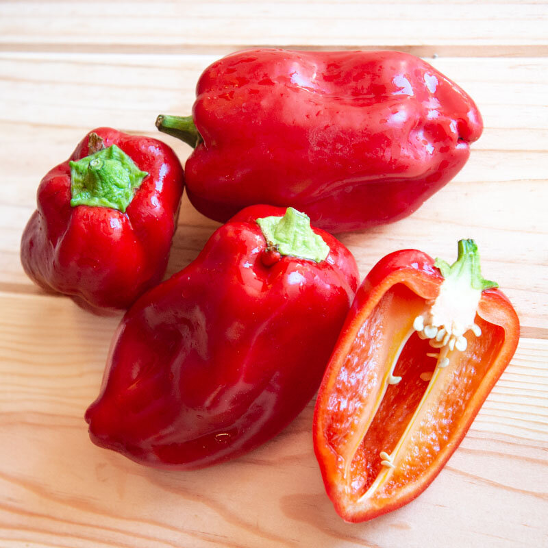 Piments/Poivrons - Little Bells