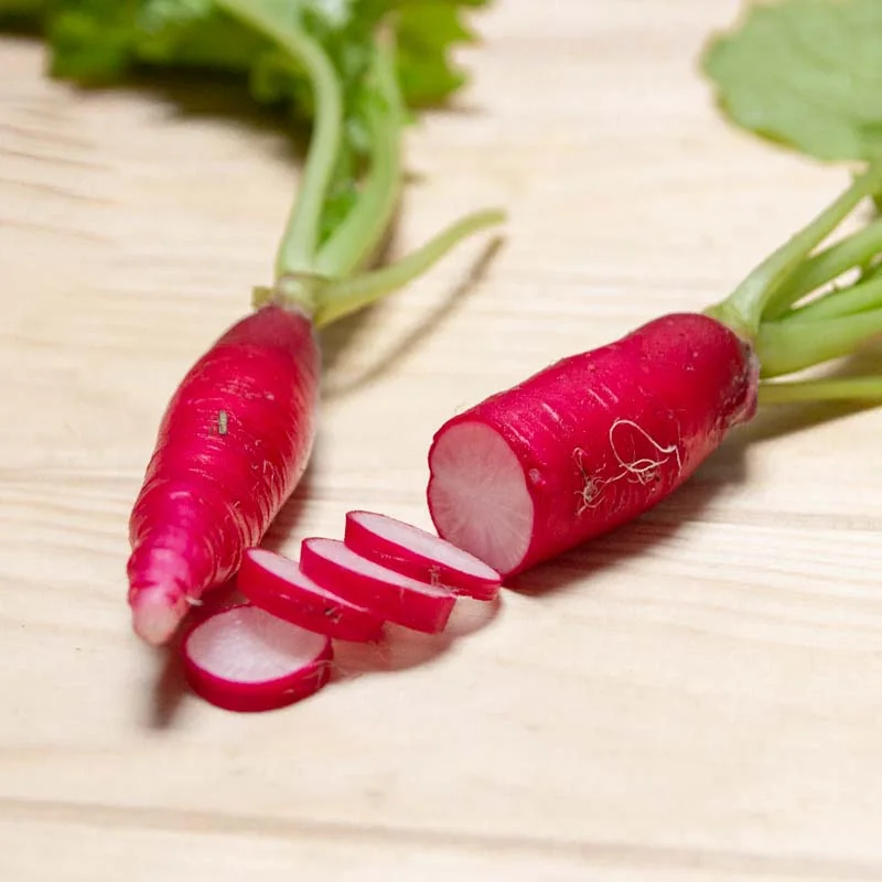 Radis - Rose de Pâques