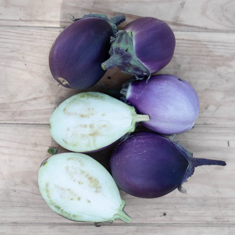 Aubergines - Dewako One Bite