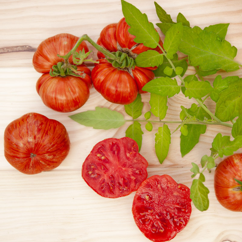 Tomates - Dwarf Cherokee Tiger Large Red