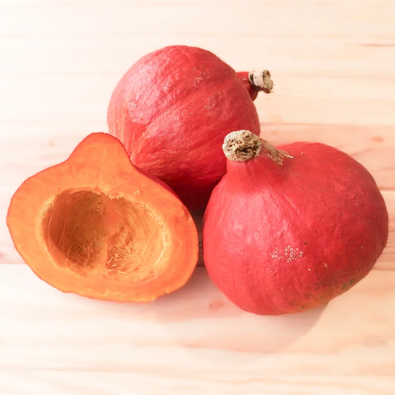 Courges maxima - Potimarron Uchiki Kuri