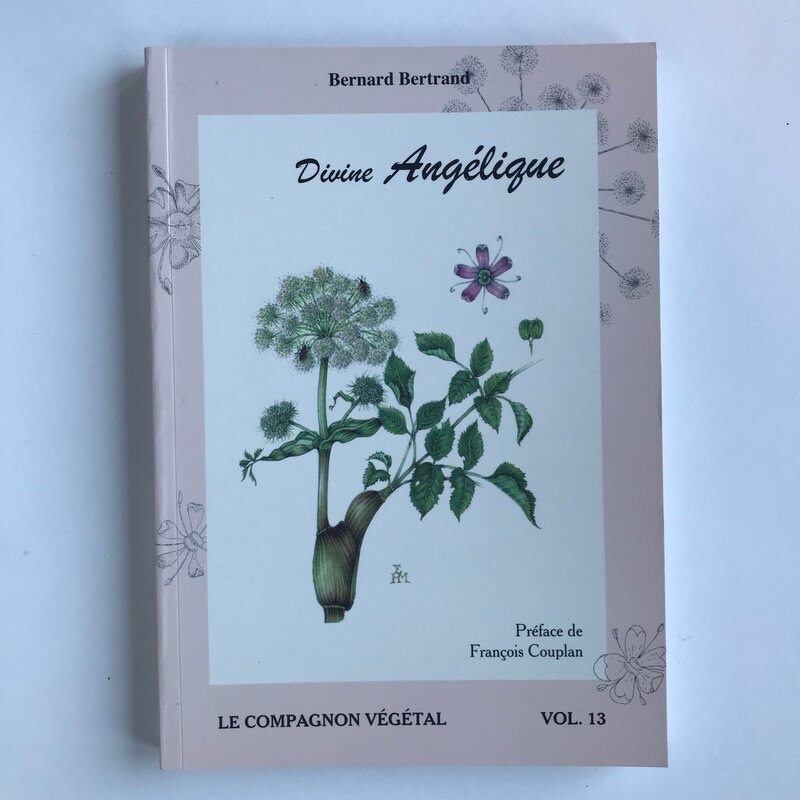 Compagnon Végétal - Vol. 13 - Divine Angélique