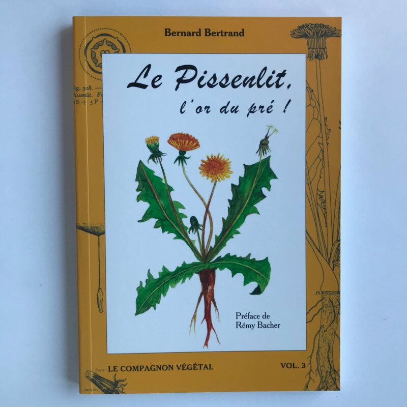 Compagnon Végétal - Vol. 3 - Le Pissenlit, l'or du pré !