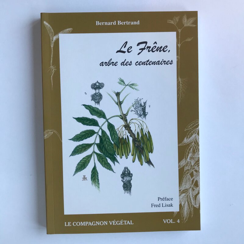Compagnon Végétal - Vol. 4 - Le Frêne, arbre des centenaires