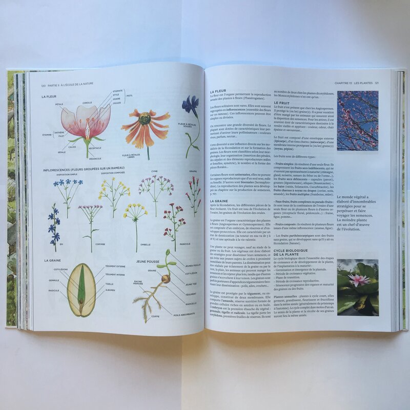 Arts de vivre - Vivre avec la Terre - Méthode de la Ferme du Bec Hellouin