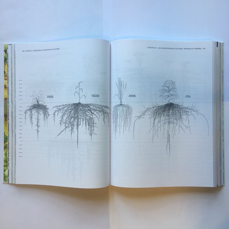 Arts de vivre - Vivre avec la Terre - Méthode de la Ferme du Bec Hellouin