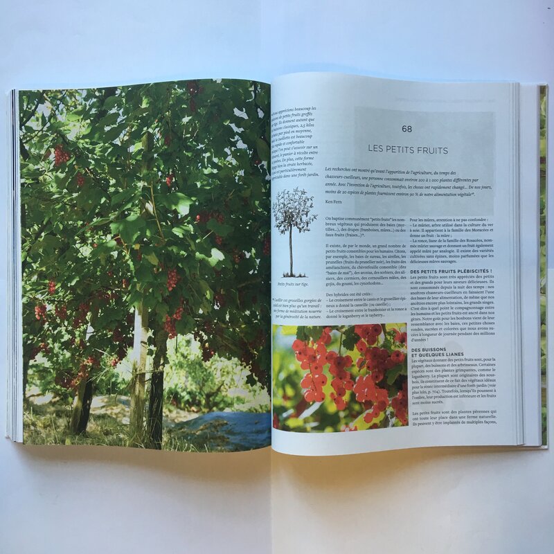 Arts de vivre - Vivre avec la Terre - Méthode de la Ferme du Bec Hellouin