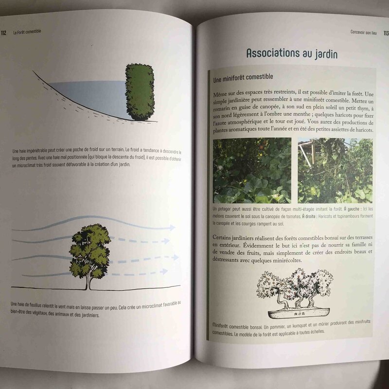 Arbres & vergers - La forêt comestible - Pour des récoltes abondantes en toute saison