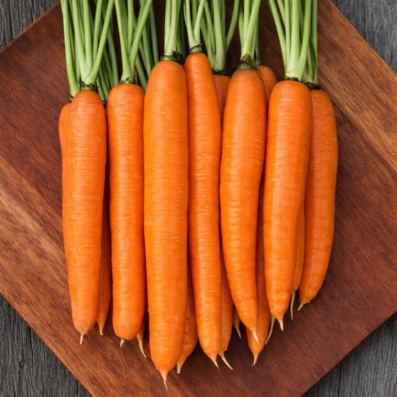 Carrots - Dolciva (Improved Nantaise)