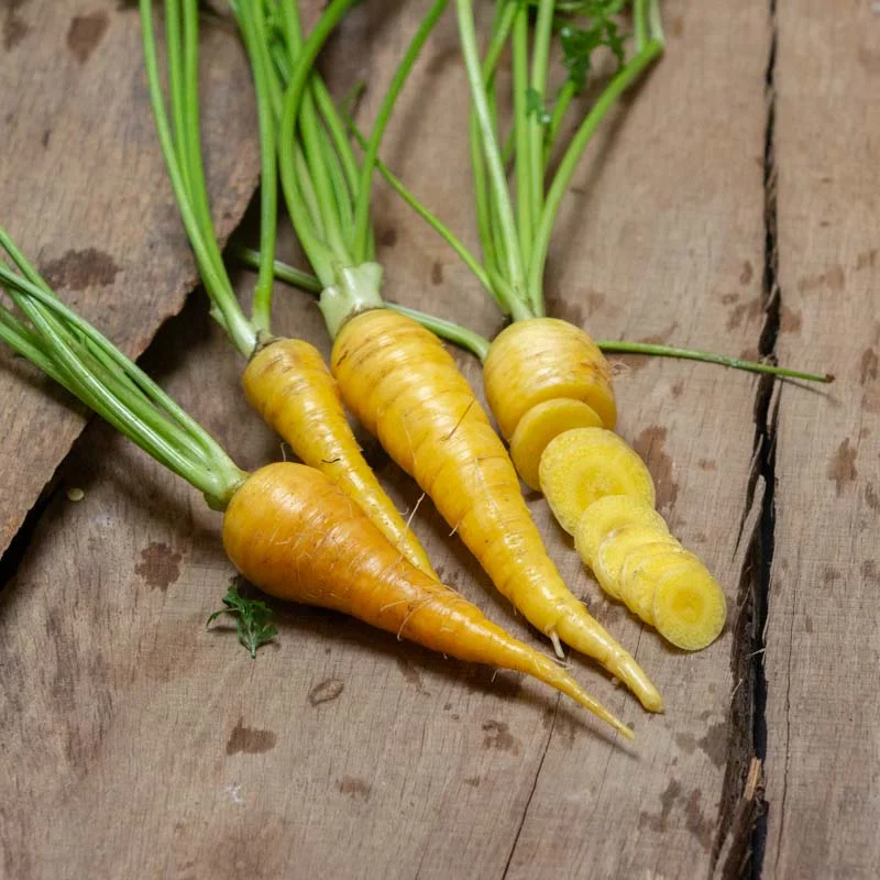 Carottes - Lubiana