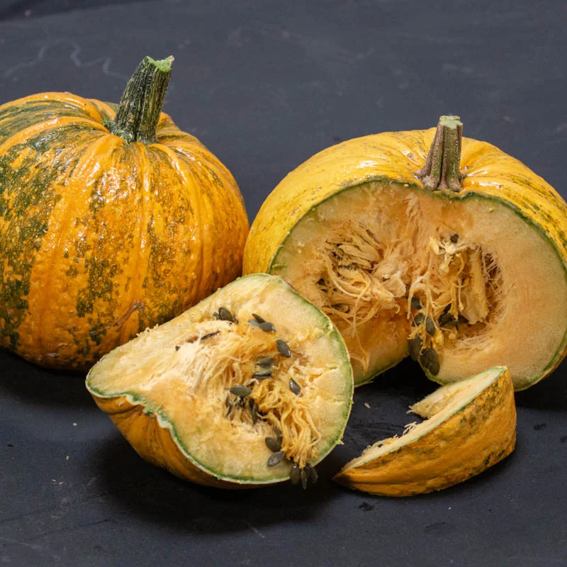 Courges pepo - Lady Godiva