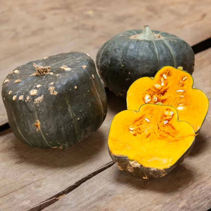 Courges maxima - Buttercup Burgess