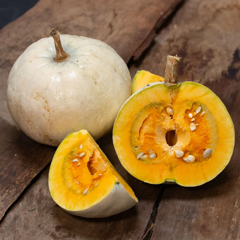 Courges maxima - Lumina