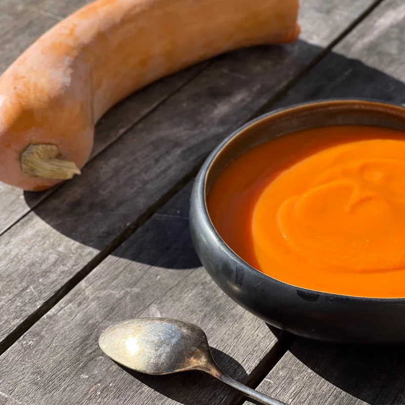 Moschata squash - Canada Mezoides