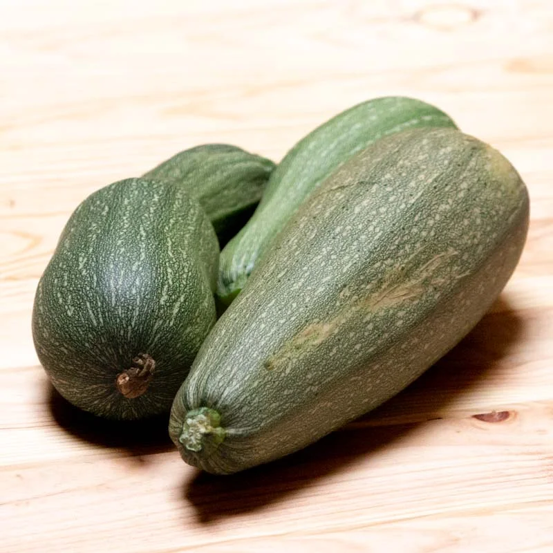 Courgettes - Ortolana Di Faenza