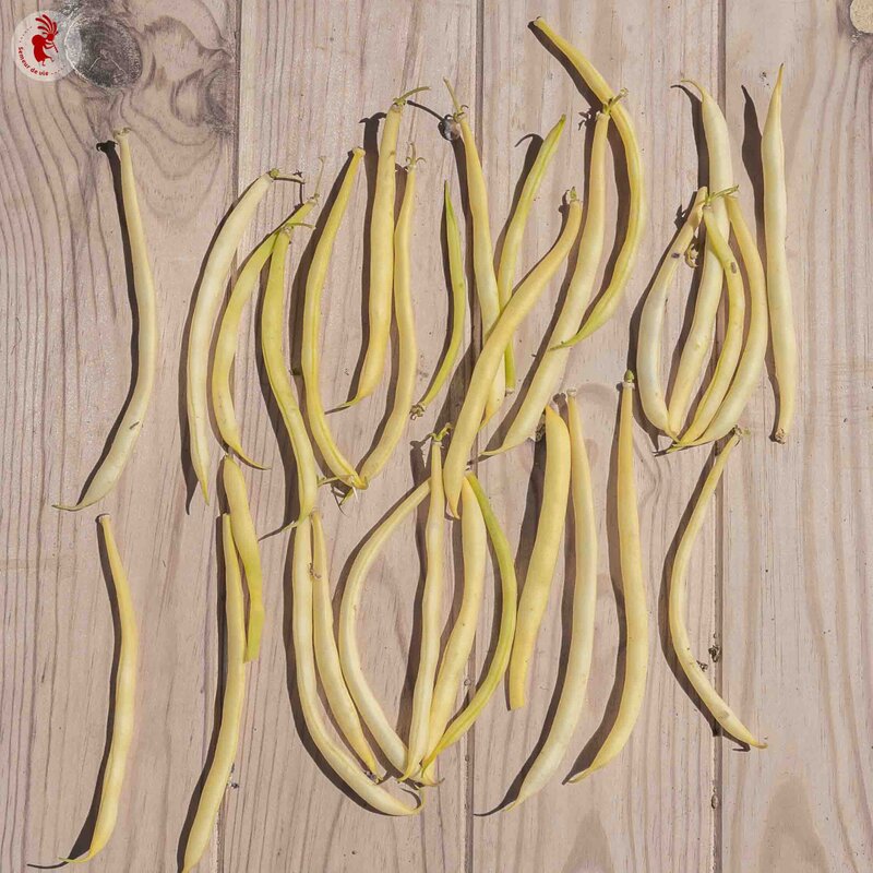 Haricots mangetout - Beurre de Rocquencourt