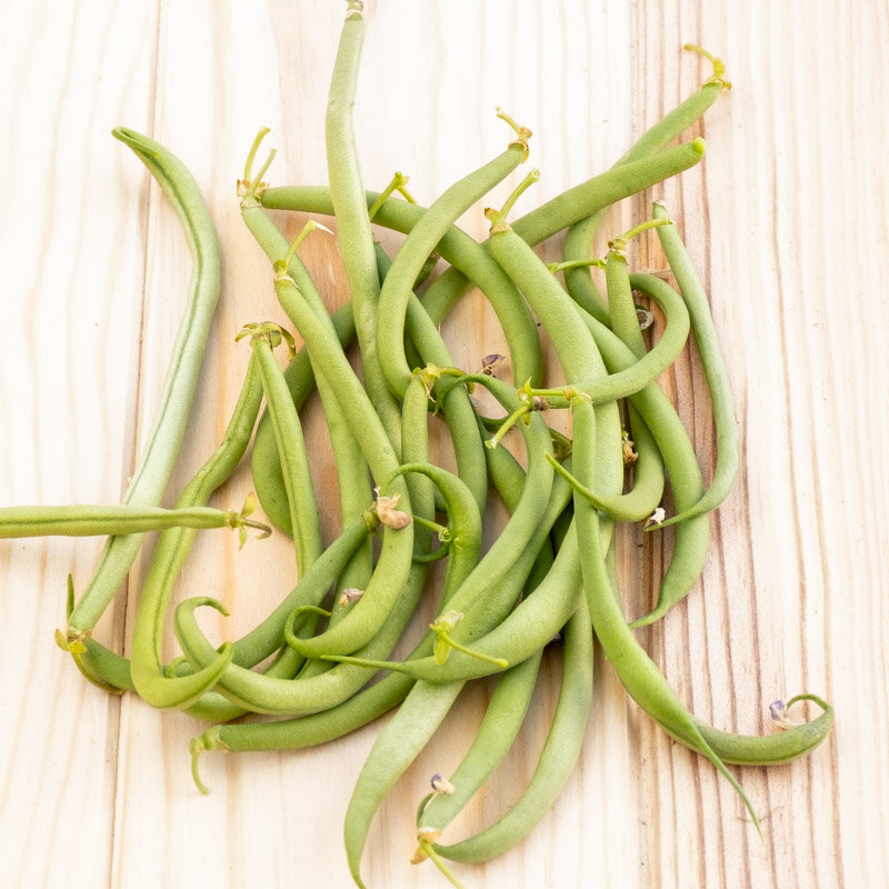 Haricot Mangetout A Rames Neckarkonigin Reine Du Neckar Association Kokopelli