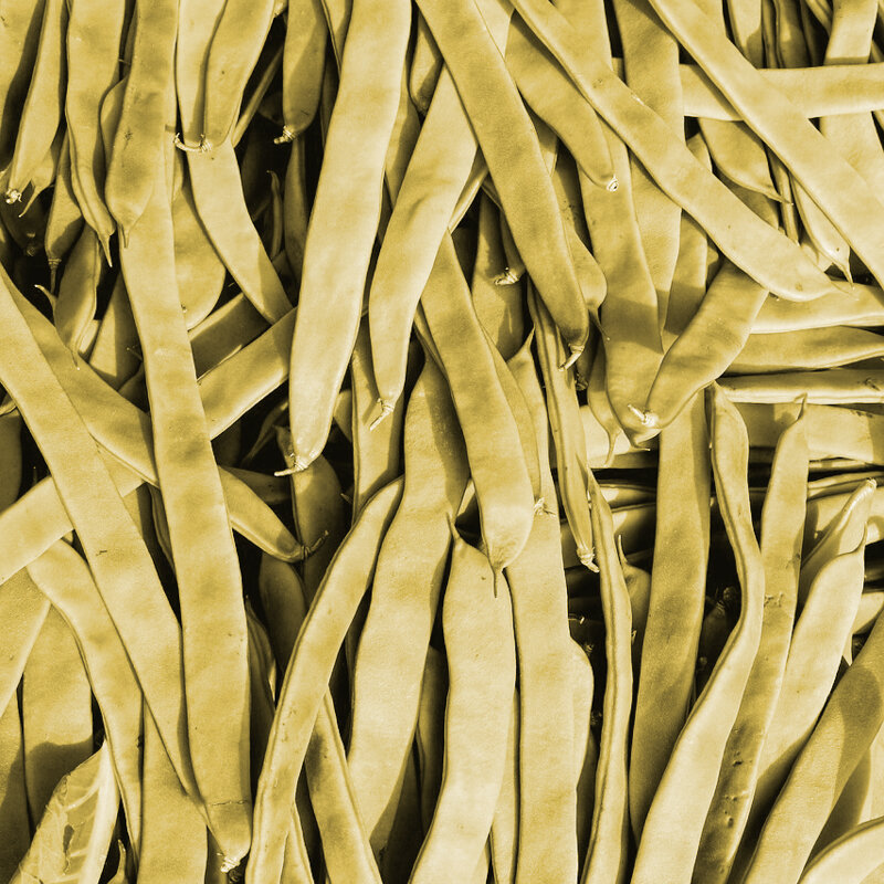 Haricots mangetout - Goldfield