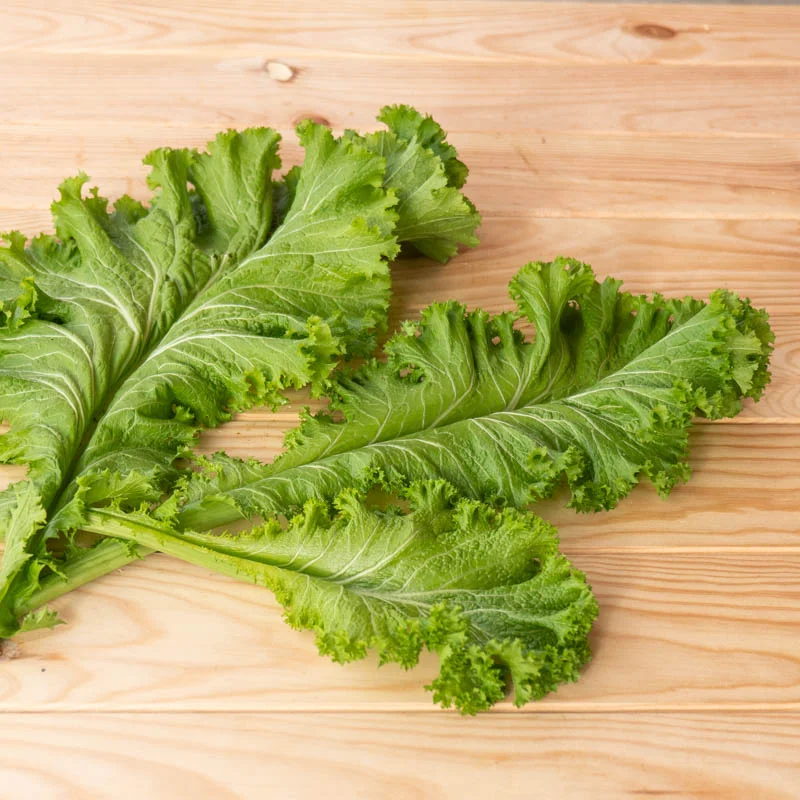 Moutarde indienne - Green Wave