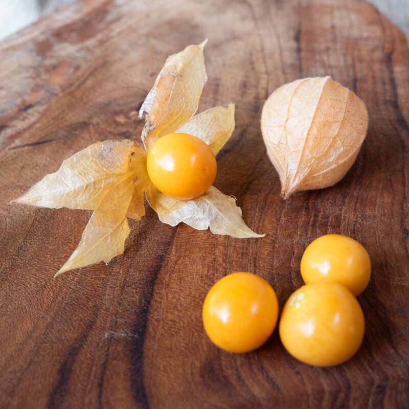 Physalis - Coqueret du Pérou