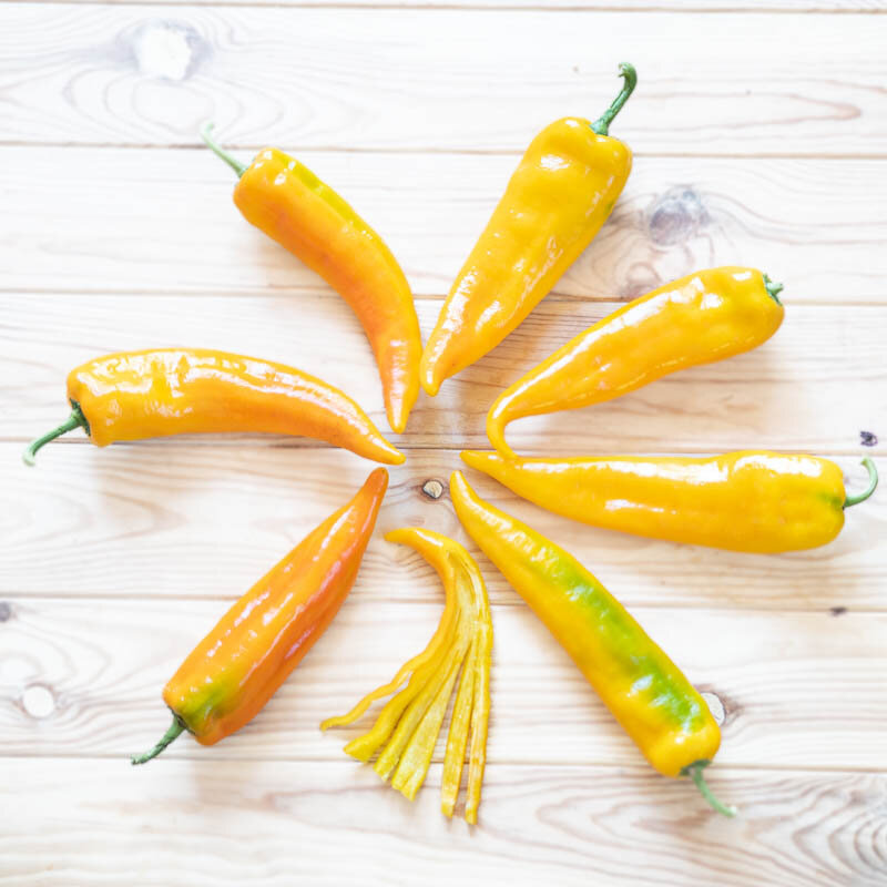 Piments/Poivrons - Corno di Toro Giallo - Corne de Taureau Jaune