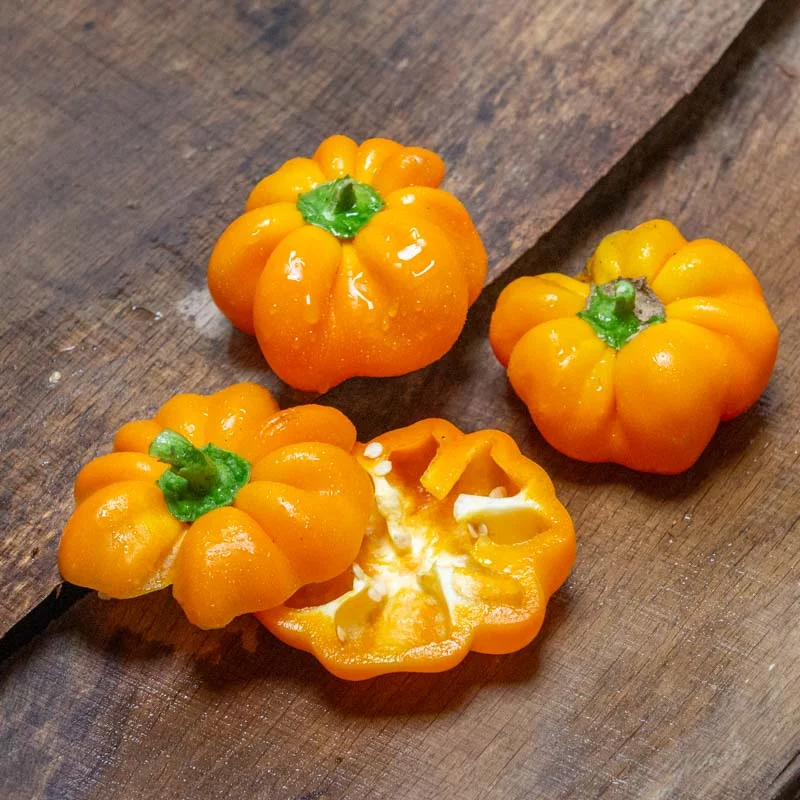 Piments/Poivrons - Yellow Cheese Pimento