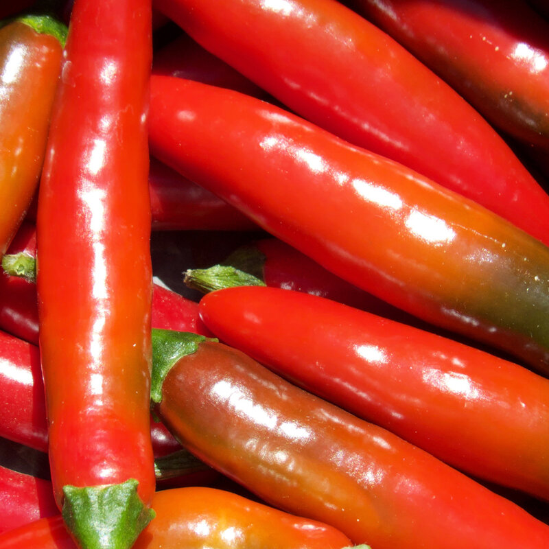 Piments/Poivrons - Serrano