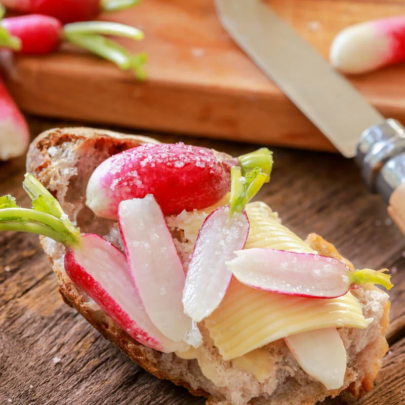 Radish - French Breakfast