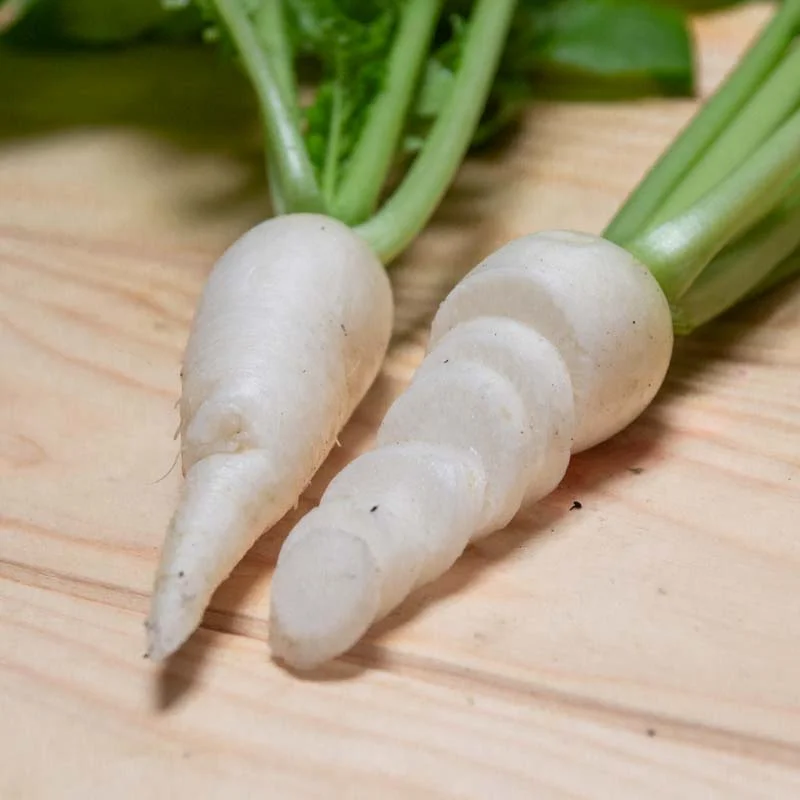 Radis - Marché de Zürich