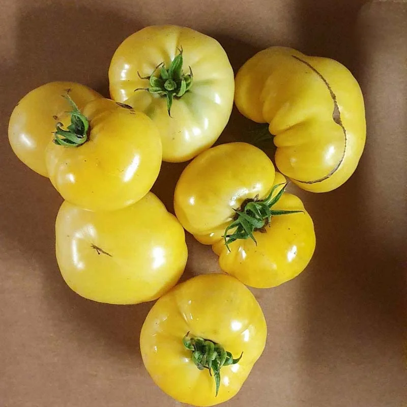 Tomates - Big Sky Brandy