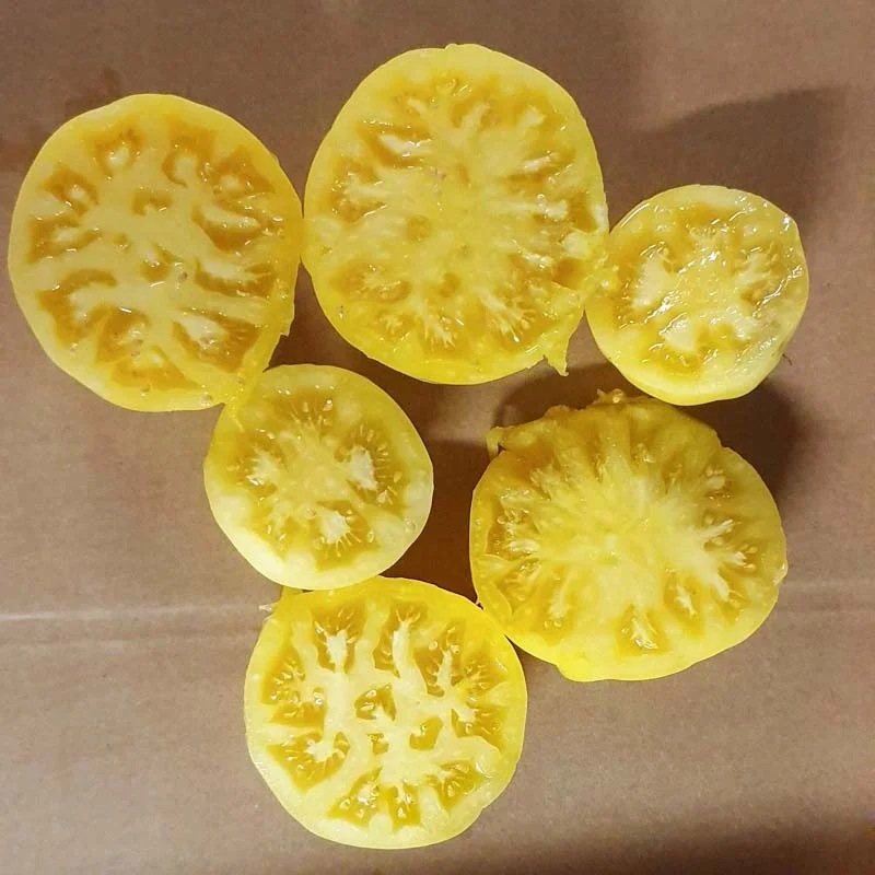 Tomates - Big Sky Brandy