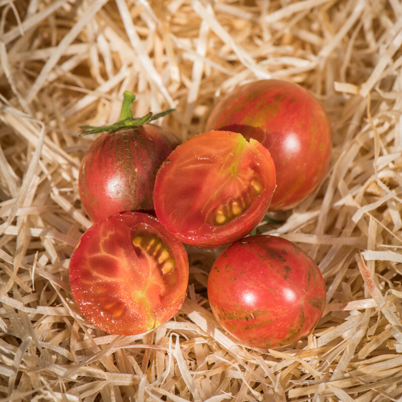 Tomates-Cerises - Pink Bumble Bee