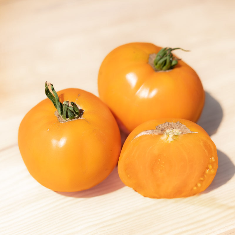 Tomates - Yellow Belgium