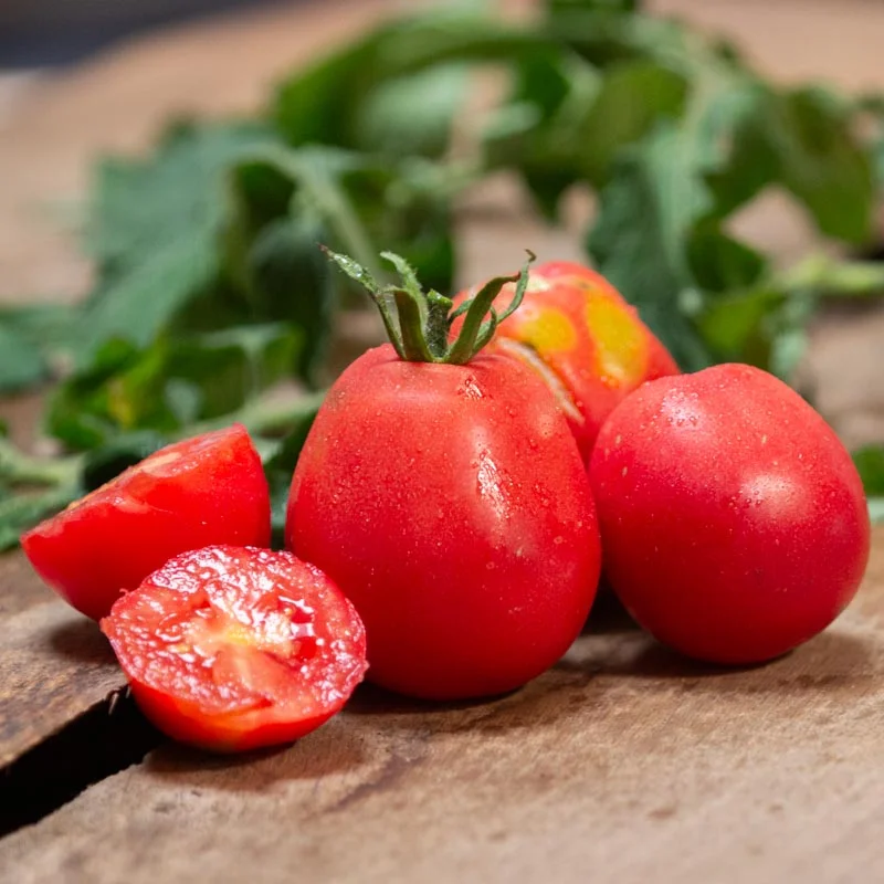 Tomates - Ukrainian Pear