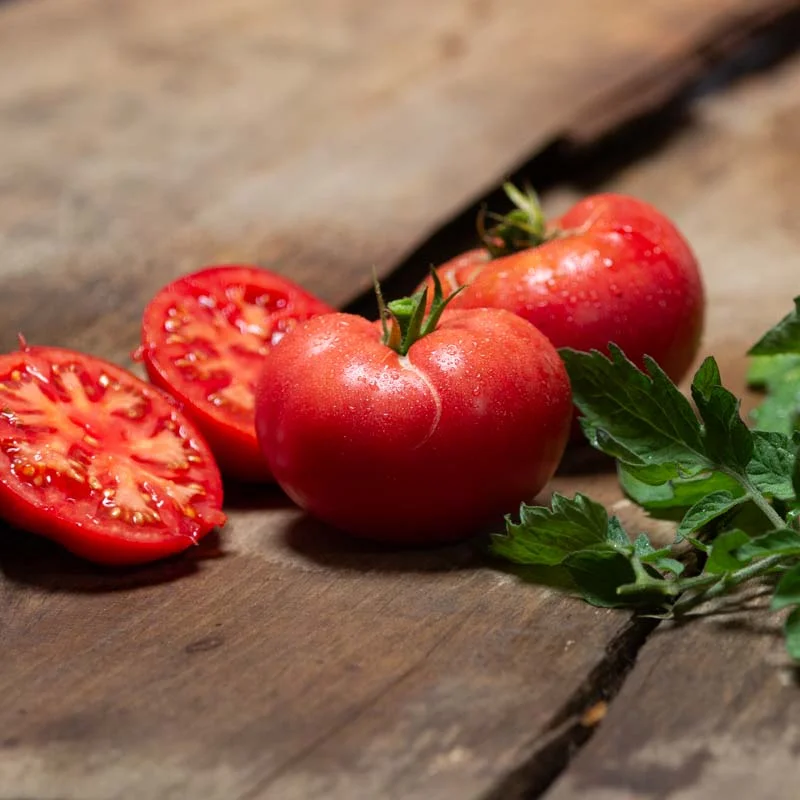 Tomates - Livingston’s Beauty