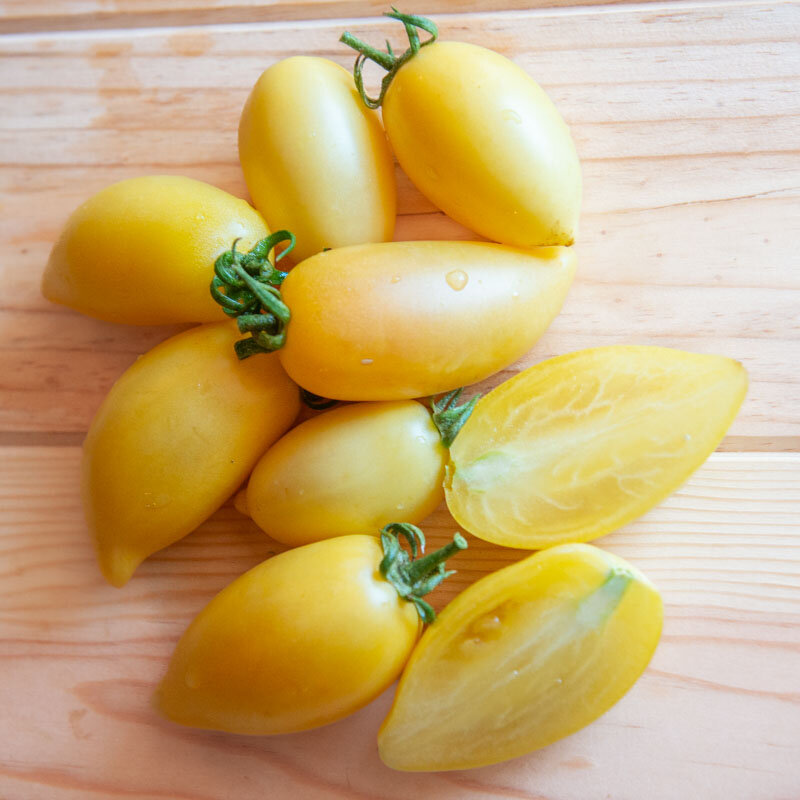 Tomates - Cream Sausage