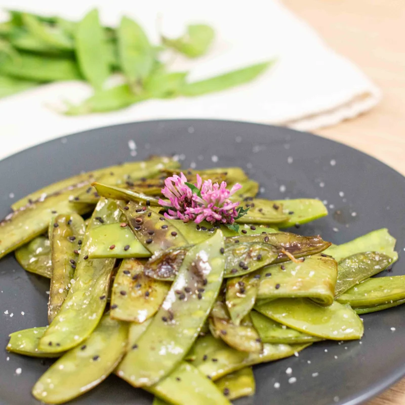 Pois - Corne de Bélier