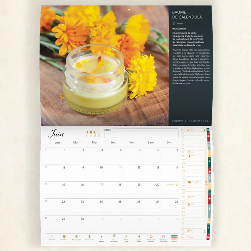 Calendars - Kokopelli Calendar 2026