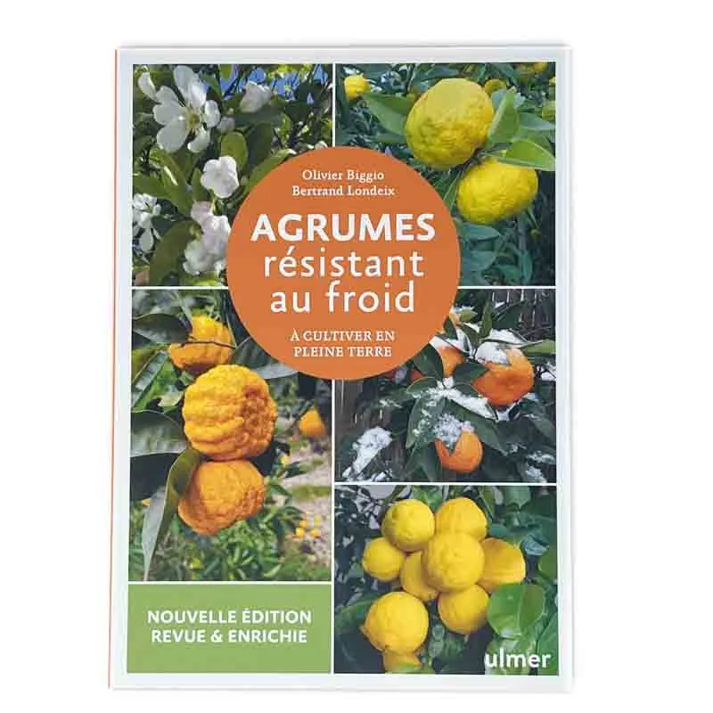 Arbres & vergers - Agrumes résistant au froid - A cultiver en pleine terre