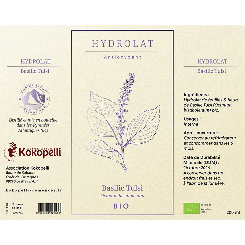 Body care - Organic Sacred Ethiopian Basil / Temperate Tulsi Hydrolat - 200 ml