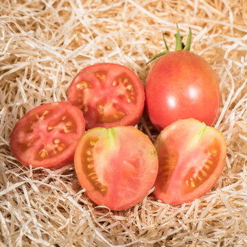 Tomates - Momotaro Atarashii