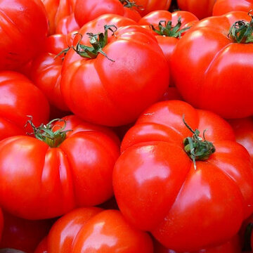 Tomates - Charnue de Huy