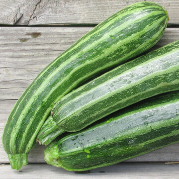 Courgettes - Cocozelle