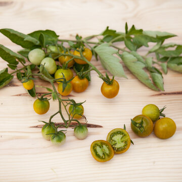 Tomates-Cerises - Bosque Green Cherry