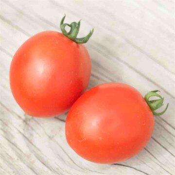 Tomates - Surprise Siberia